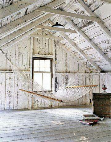 Spruce & Pine_com